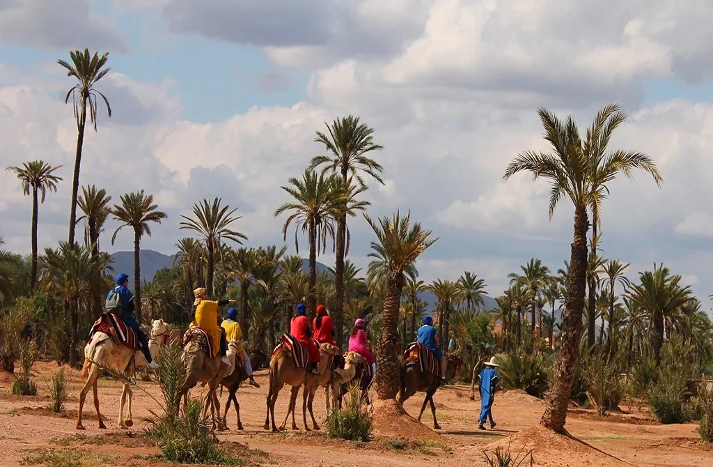 Half-Day Camel Trekking in Marrakech – Marrakech Holiday Services
