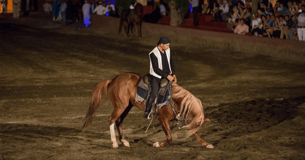 Dinner Show at Chez ALI